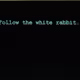 follow_the_whiterabbit
