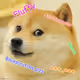 AUTHMemes
