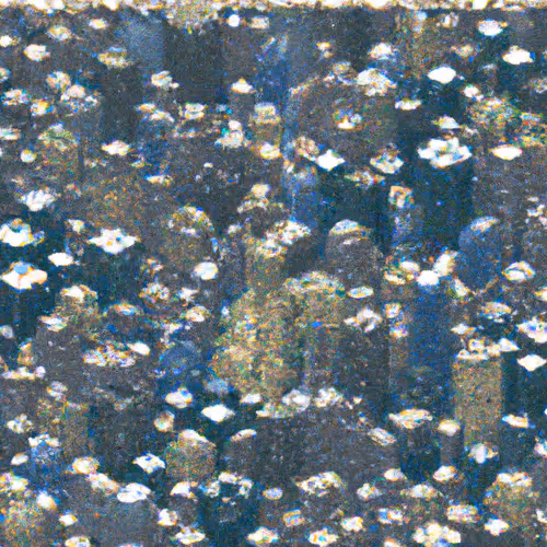 OpenSea banner for @cash