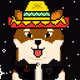 JayFireKing