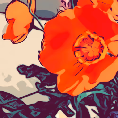 OpenSea banner for @delectable