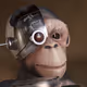 Ape-Borg