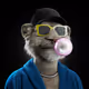 THEHIG