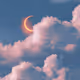 sandesgn_12-26-2022
