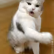0xKin