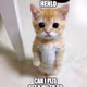 MurMeoww