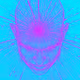 netcitizen0