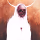 Echthra