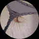 0x83dc19da171e9289b8c9f4e9c32b8a1d2313a84b
