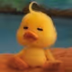 boring_chick