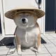 dreahierxd