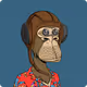 cryptoxman