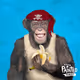 PaintedPrimates