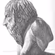 Diogenes_Barrel