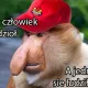felsterek