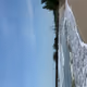 seaowner