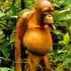 Sad_Monkey