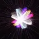0x84bc0197765d84729a8d8d94e025104c50a2e028