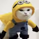 elfuriosos