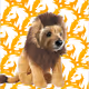 MMilliDOG