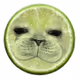 DOGEdhgdjhjfgjg