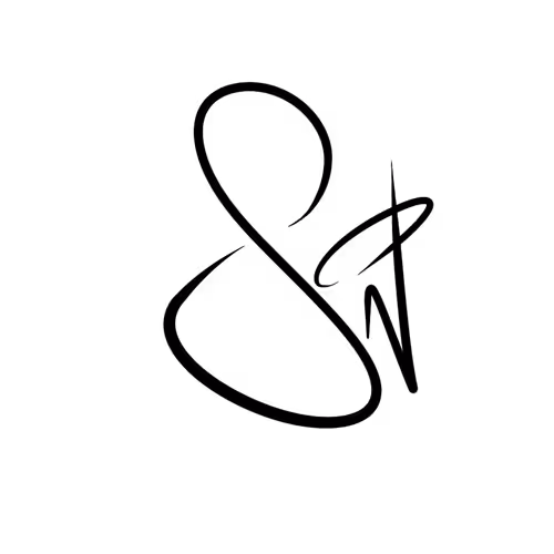 OpenSea profile picture for @SnP