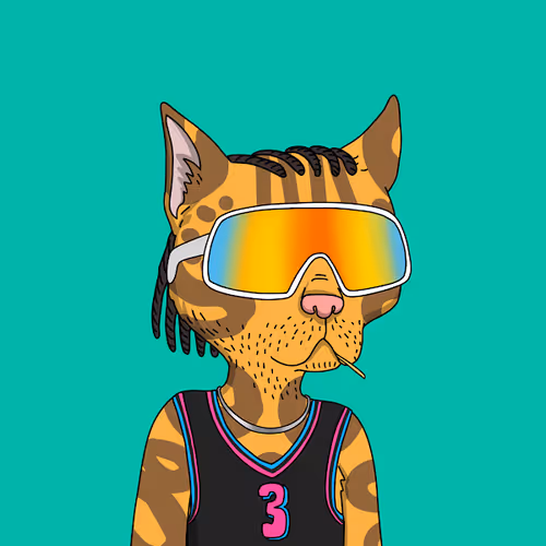 OpenSea profile picture for @intangible