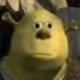 Dan52