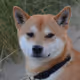 0x854c28facdb729d6af3833f66e55e504aded6b60
