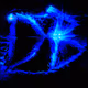DBeltrandigital