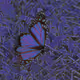 0x856544c1dc60237c8bfe6d30771ff1de04fb7619