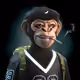 GongoRich