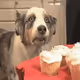krypto_keez