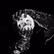 0x8588aeb927411464739325ab99dab06da0aa80c0