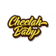 CheetahBaby_Vault