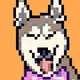 0x85b805af9b491fb50d917e9d86f01b2b74bd2081