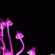0x85c2081c8be2adf6a11dc0ea483d9f290ab6c43f