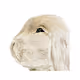 0x85c672b5b0cd2ab14fff006f674c66f520c675b8