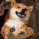 Nagareboshii
