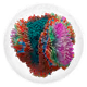 0x85de97007111d5da7a1f8857e7de9eab0afc9c00