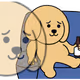 NoMoreBias