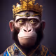 MetaGenerationApe