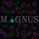 MAGNUSX