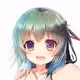 IBIS_COPY