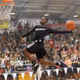 anthonymyles