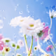 0x86655bae40dc8d7d1d2c704471a170449beb33db