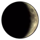 amanina