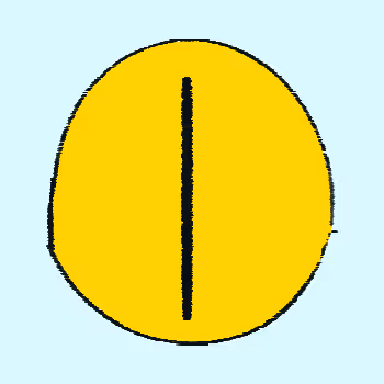 OpenSea profile picture for @modo86