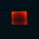 0xBASIIC