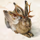 Rabbitdeer